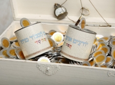 קופת החיסכון שלי