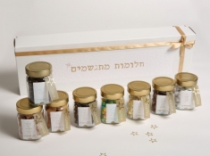 חלומות מתגשמים